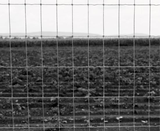 Imagen de Malla Nudo Fijo